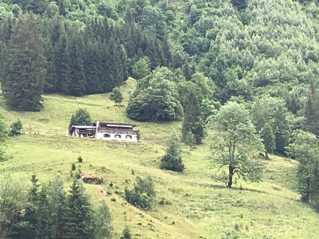 Angerer Alm, Fusch