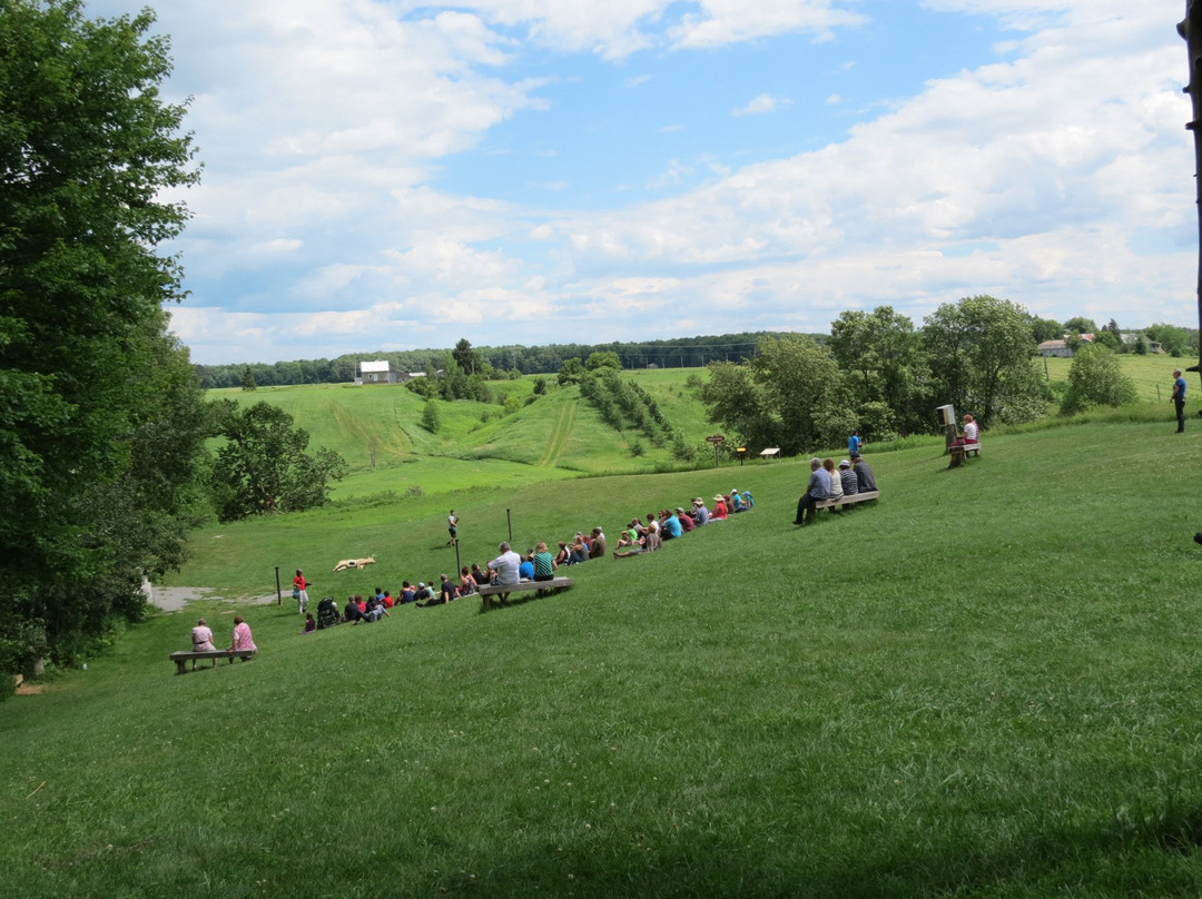 圣亚森特旅游攻略图片