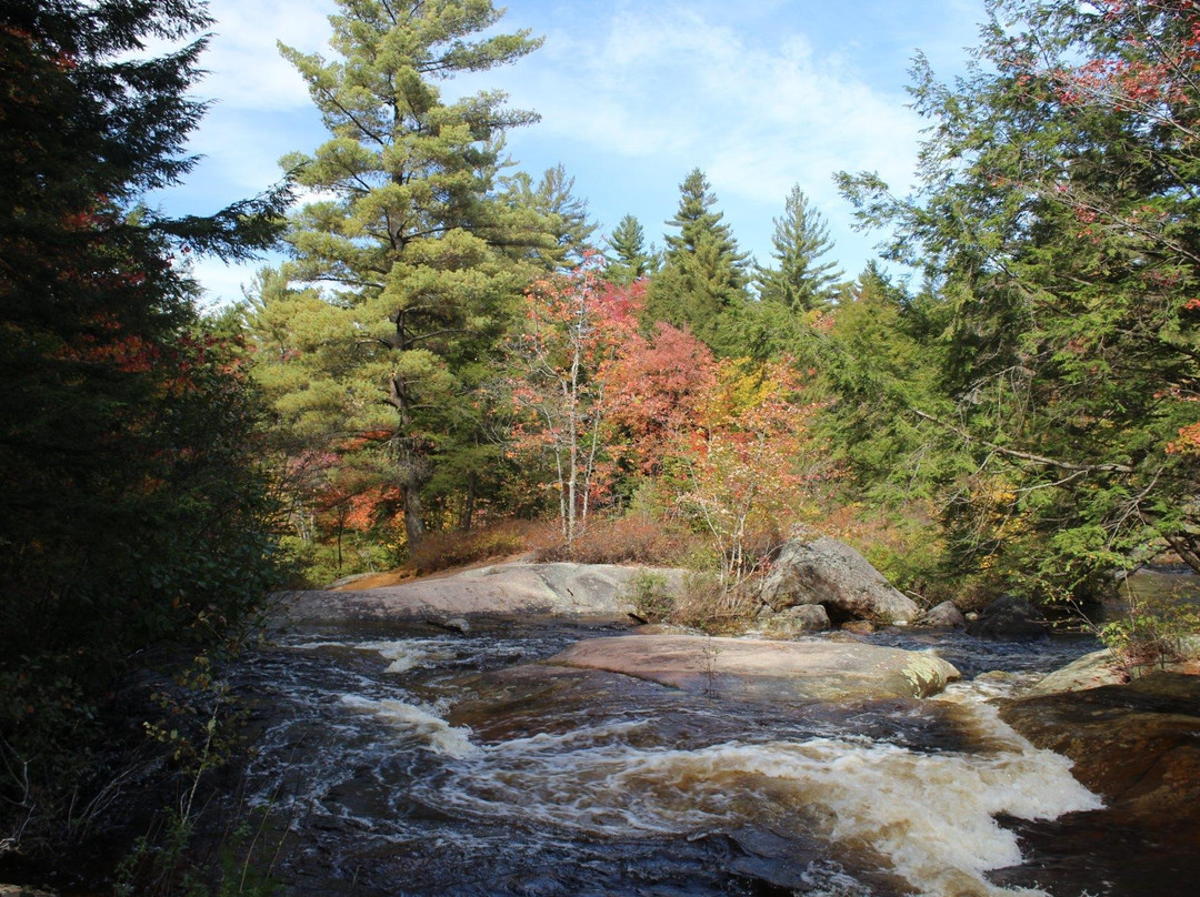 Adirondack Scenic Railroad景点图片