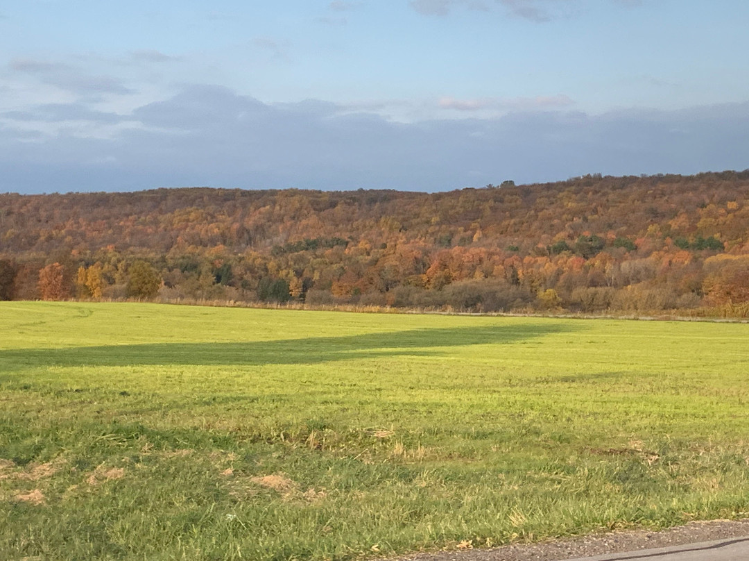 Strykersville旅游攻略图片