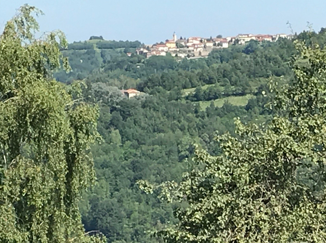 Castello di Sale San Giovanni景点图片