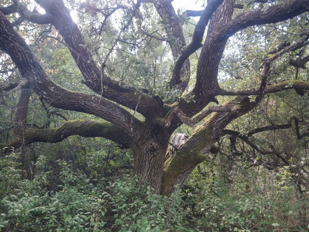 Oasi LIPU Castel di Guido-罗马必去景点