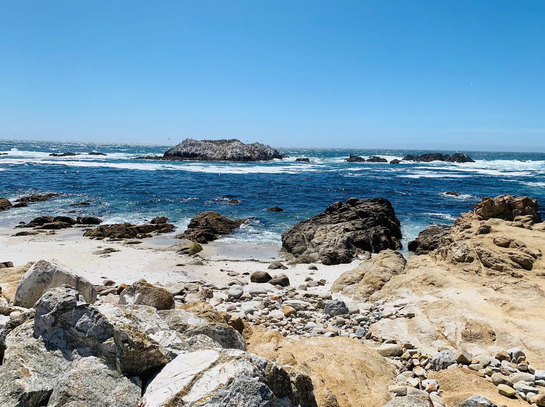 Bird Rock Vista Point景点图片