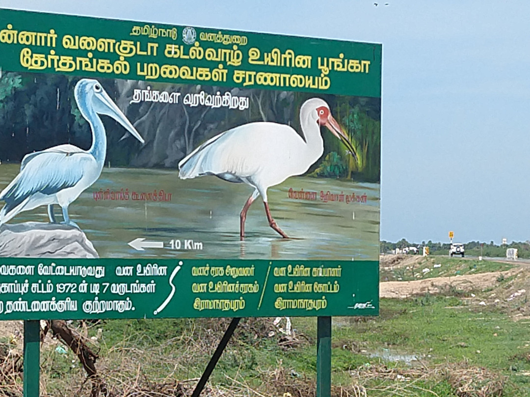 Water Bird Sanctuary景点图片