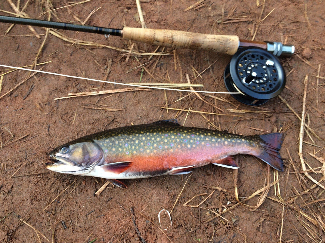 Fly King Fishing Guide-Souris必去景点