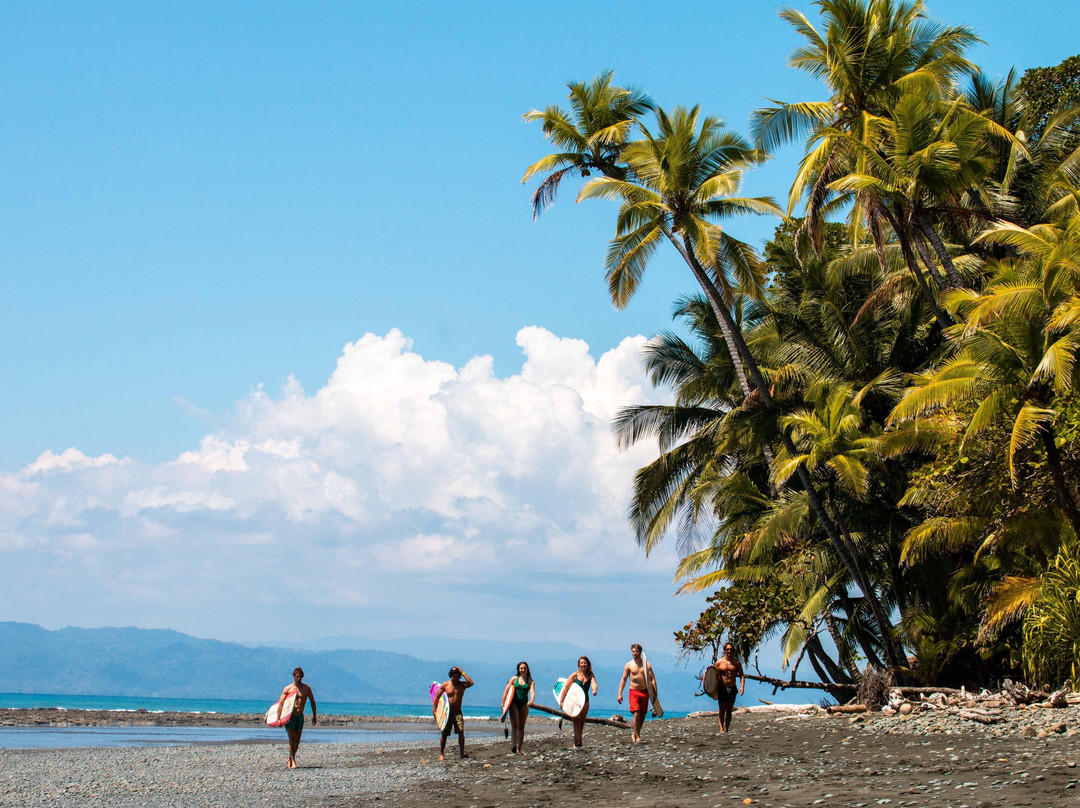 Mokum Surf Club - Costa Rica景点图片