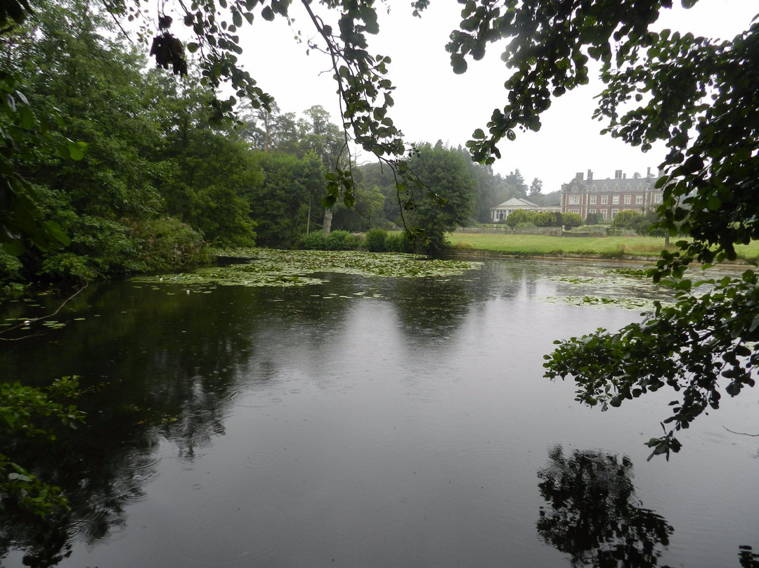 Lynford Arboretum景点图片