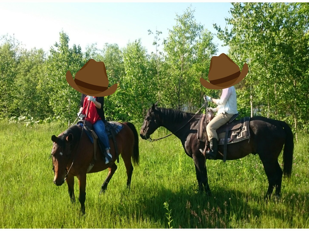 Clark Horse Garden-旭川市必去景点