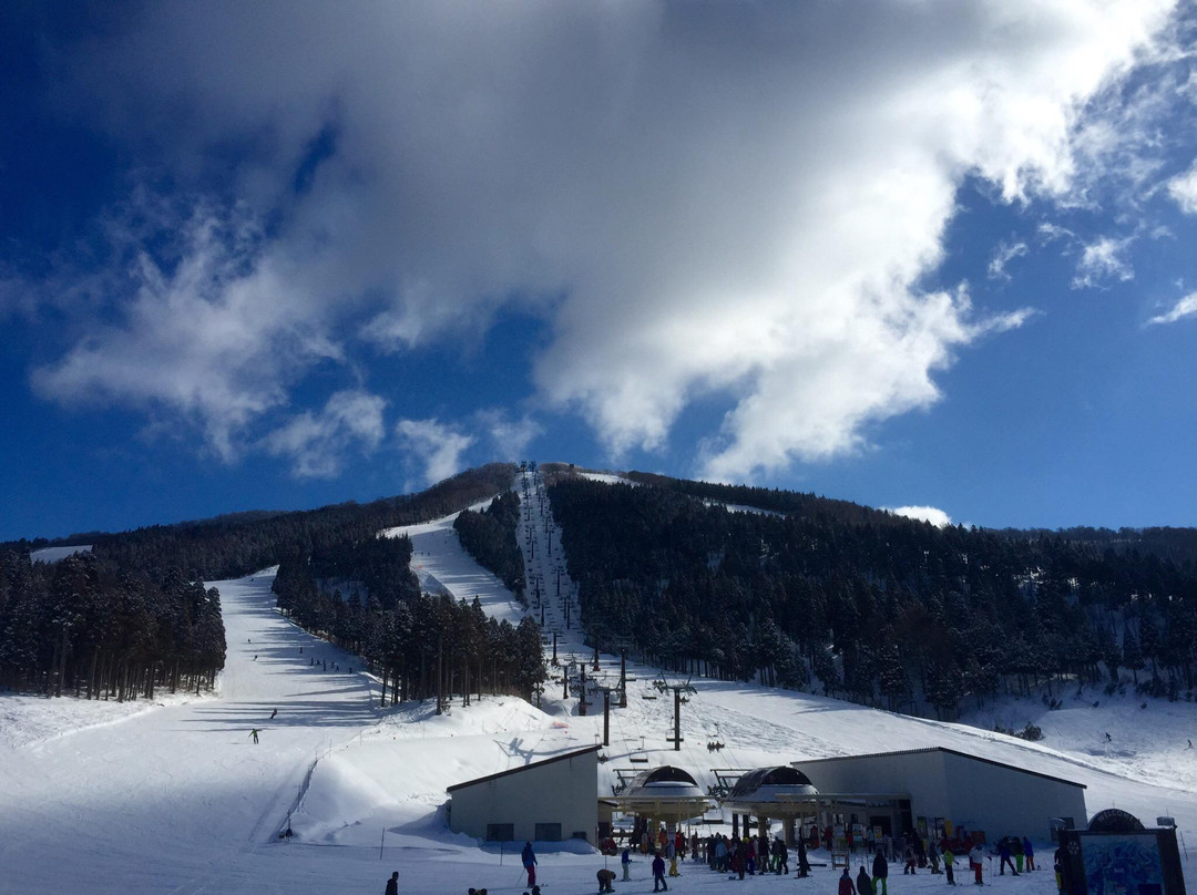 Ski Jam Katsuyama景点图片