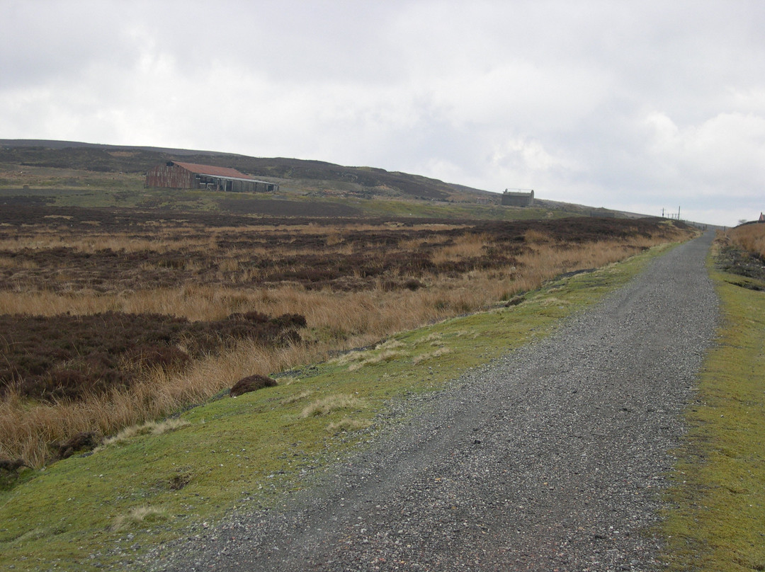 Waskerly Way Bike Path景点图片