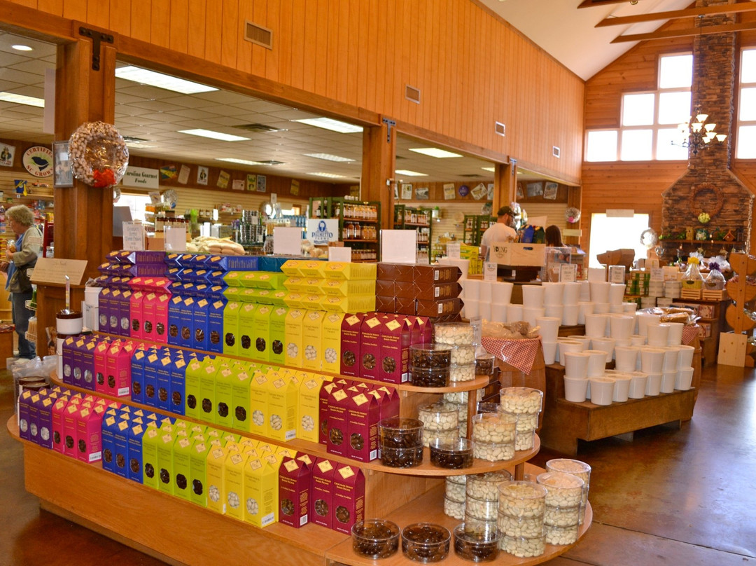 Young Plantations-佛罗伦萨必去景点