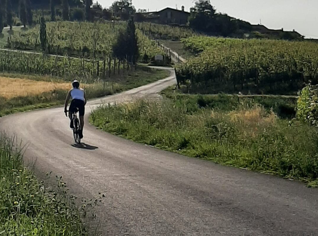 Galileo Cycling - Bike Tours-比萨必去景点