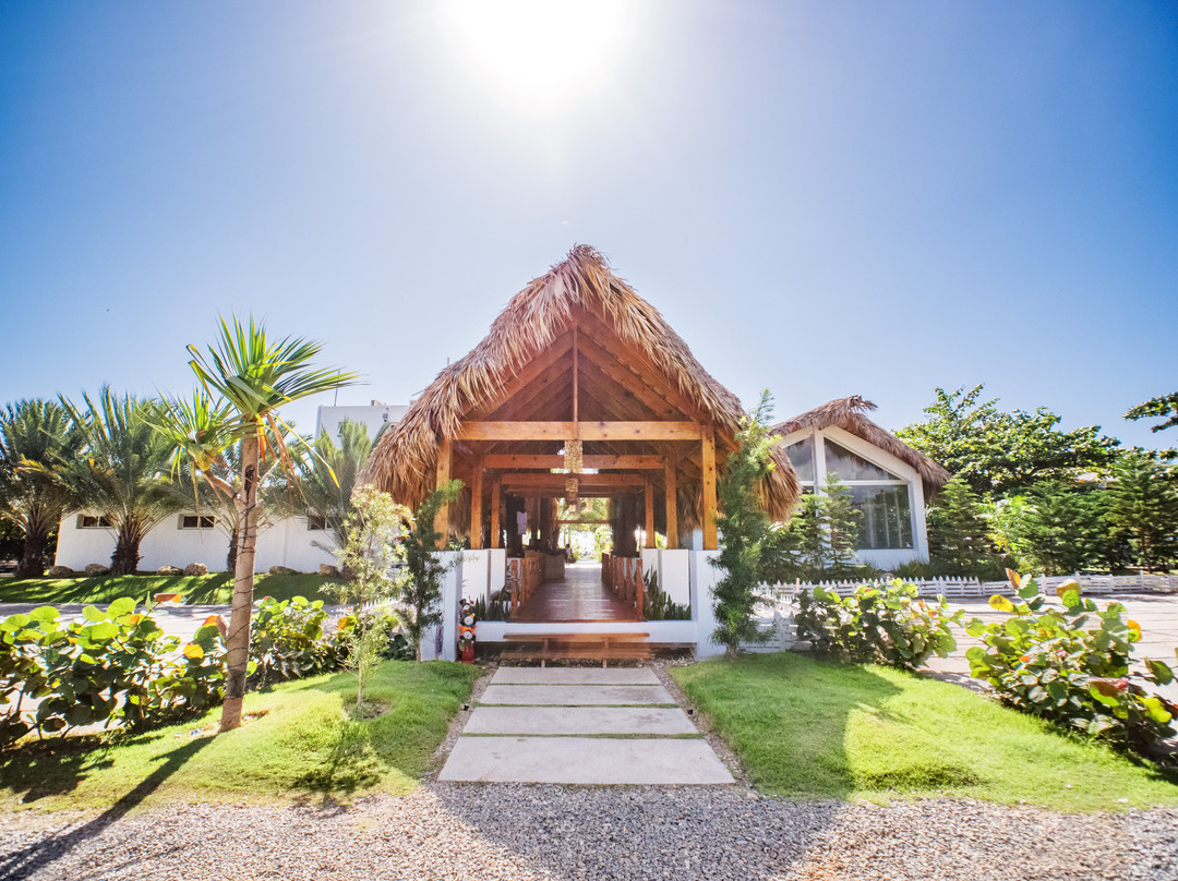 Coconut Paradise Beach Club