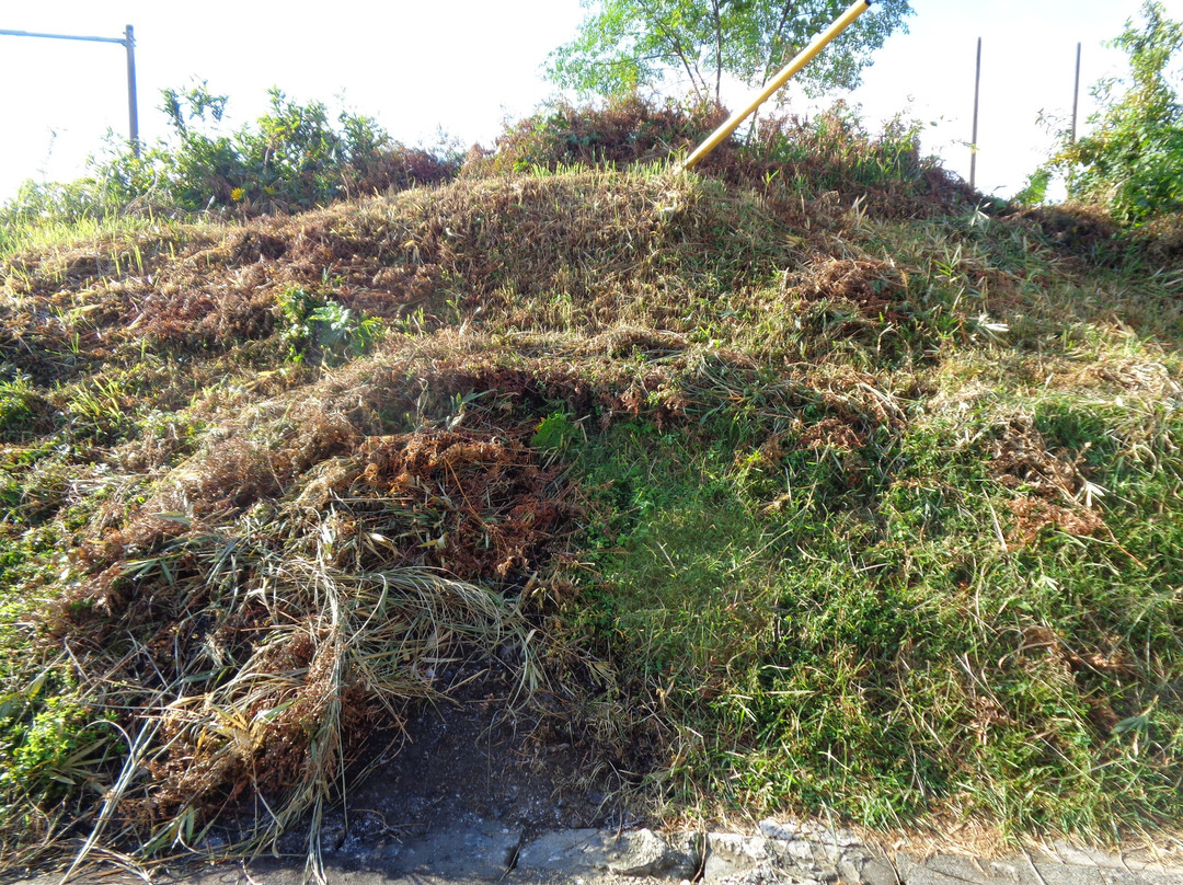 Himekata Keyhole-Shaped Burial Mound景点图片