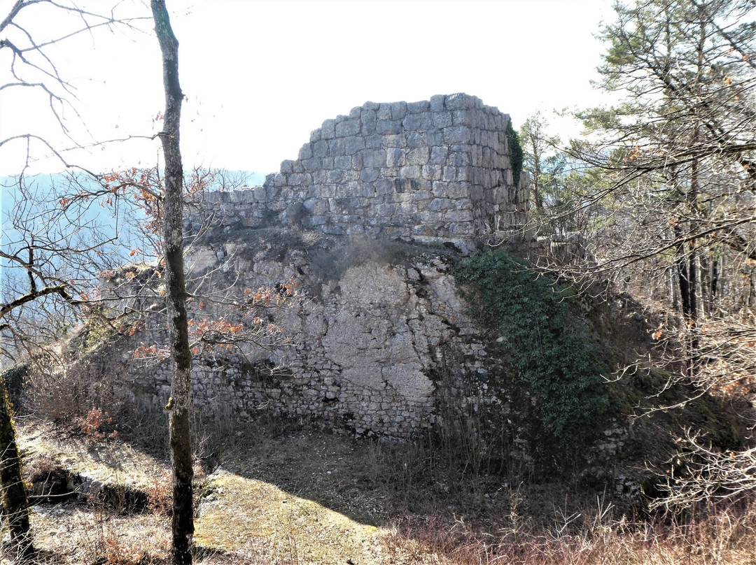 Burg Radegg-沙夫豪森必去景点