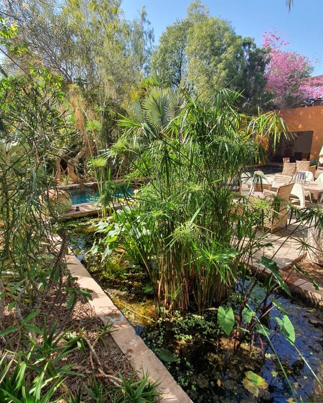 Dar al Hossoun主图