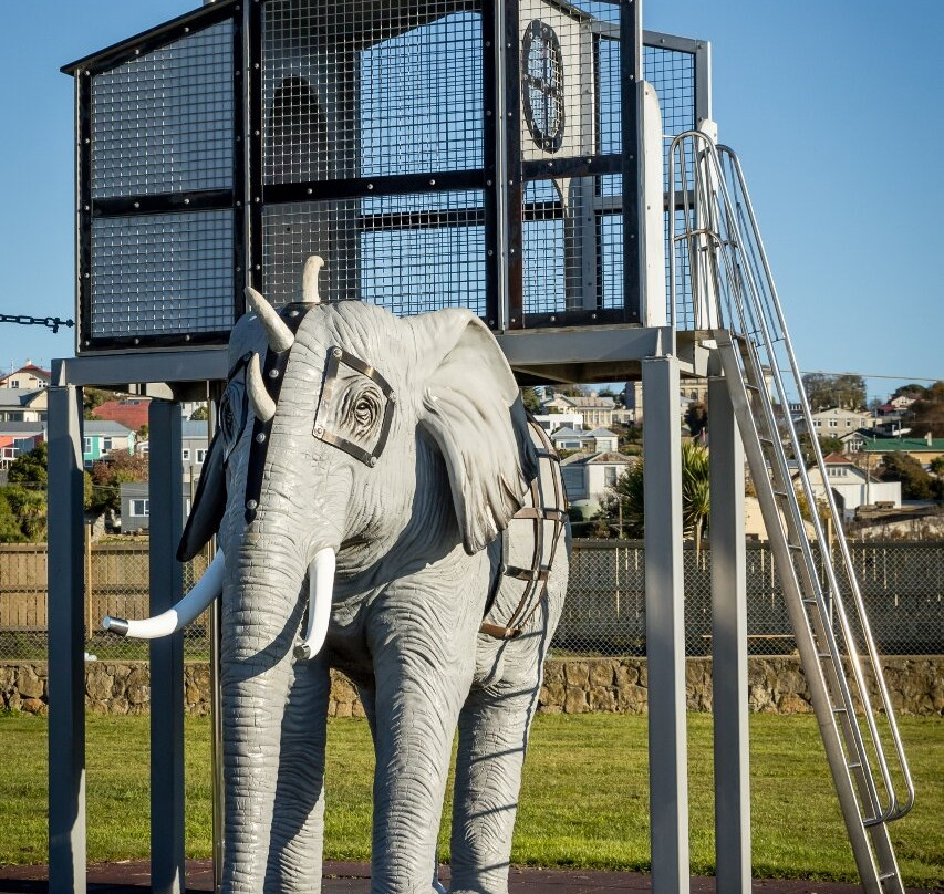 Friendly Bay Playground-奥马鲁必去景点