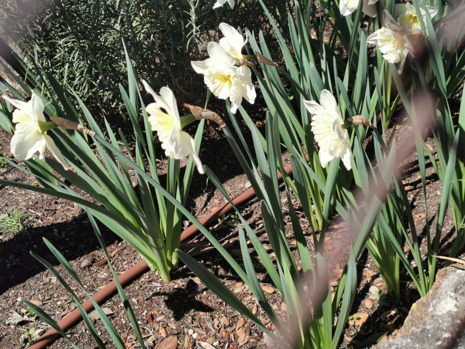 Ruta Senderismo Galapagar - San Lorenzo de El Escorial-Galapagar必去景点