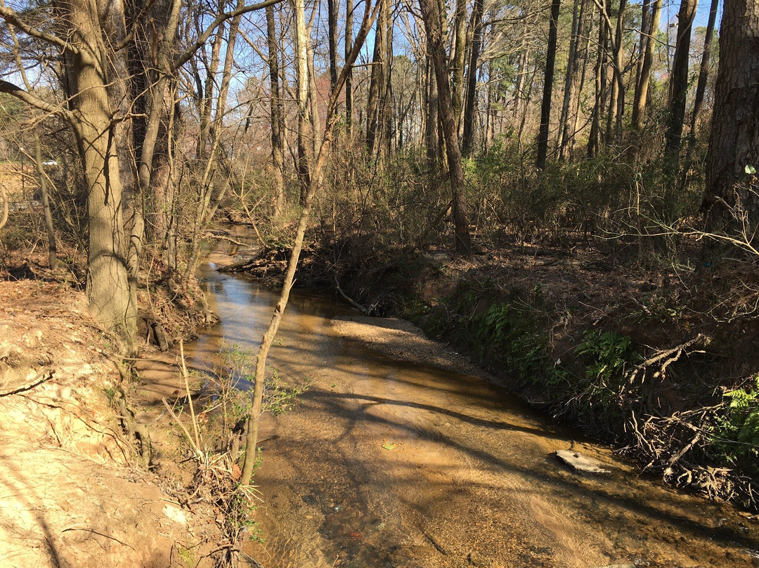 Pinnacle Park-诺克罗斯必去景点
