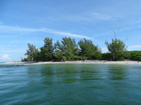 Sanibel Island Dolphin Tours-萨尼贝尔岛必去景点