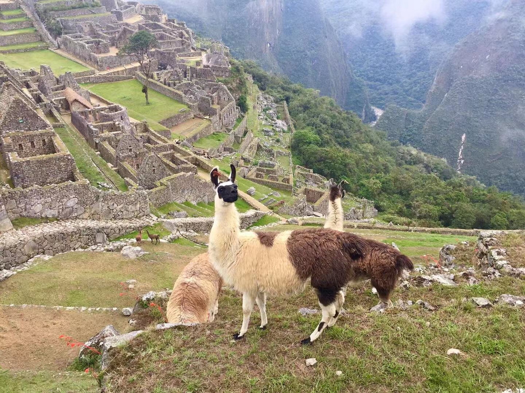 Peru Sensations景点图片