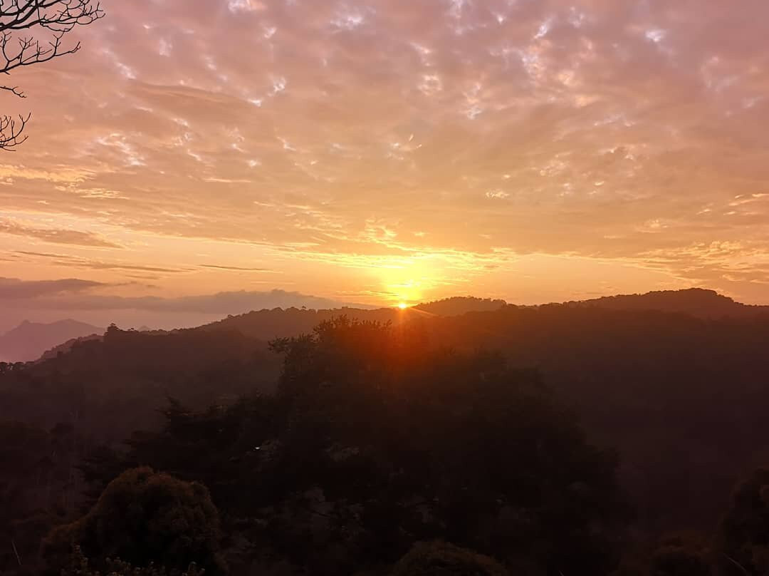 null-Amani Nature Reserve