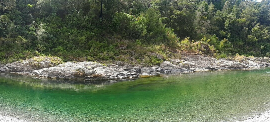 Pelorus Bridge Scenic Reserve景点图片