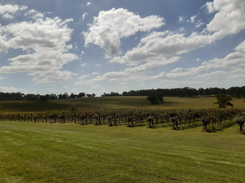 Hunter Wine Journeys-波高尔宾必去景点