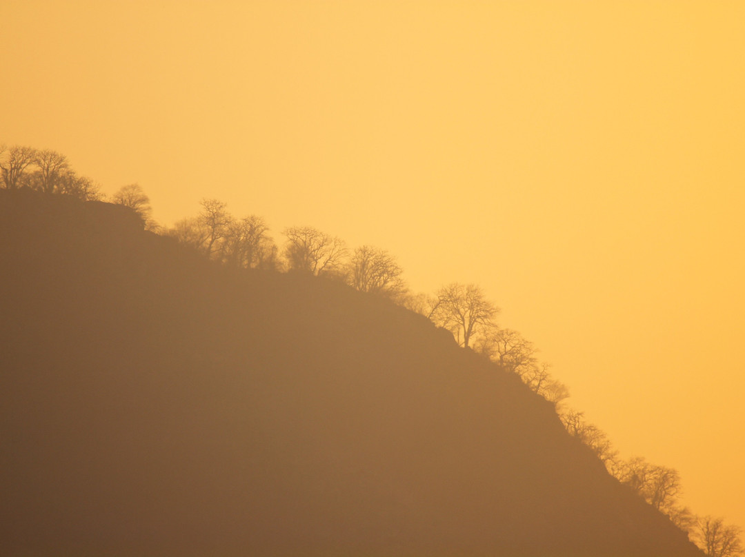 Utsav Camp Sariska主图