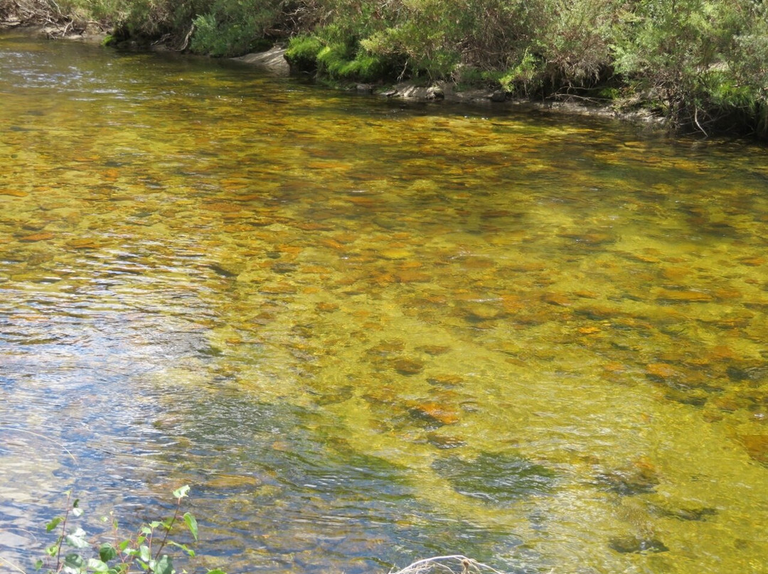 Gaden Trout Hatchery景点图片