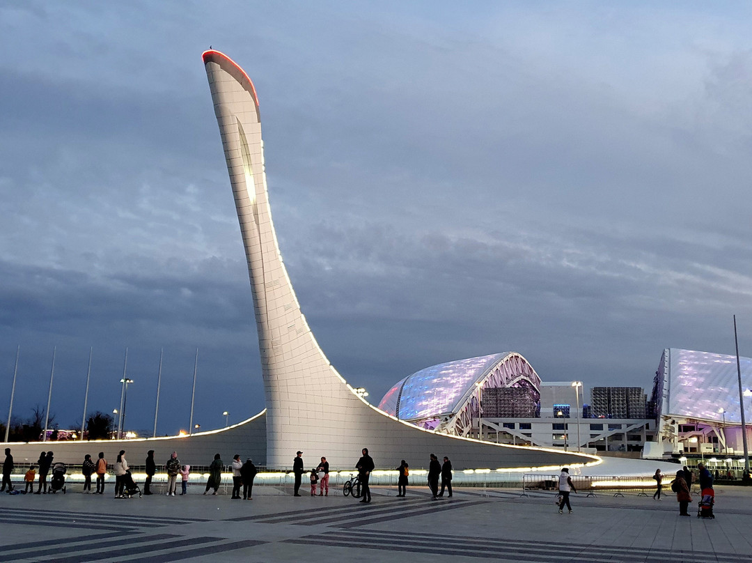 Fisht Olympic Stadium-艾德勒必去景点