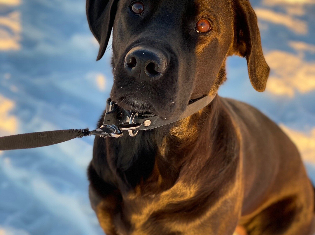 Borestranden Beach-Kleppe必去景点