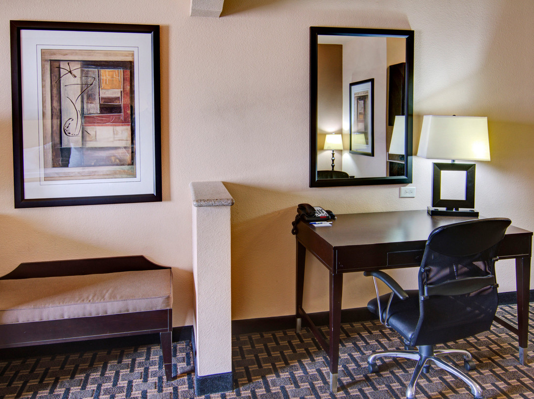 帕里斯快捷假日&套房酒店主图