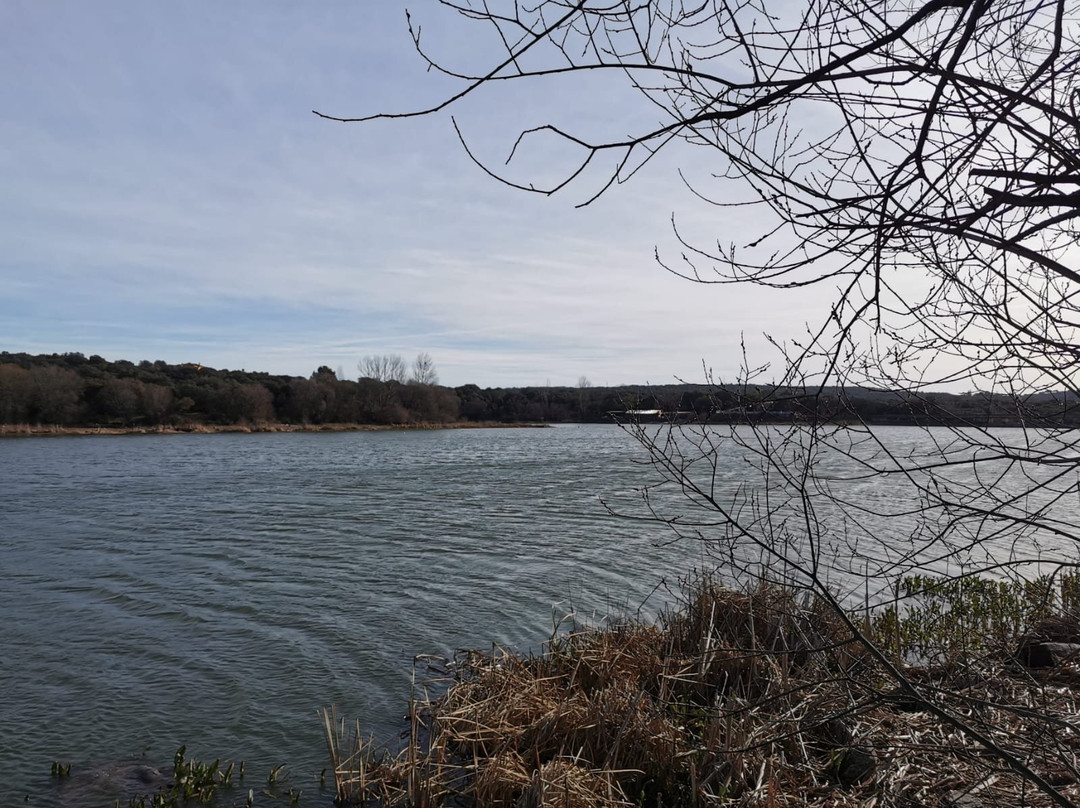 Embalse de los Arroyos景点图片