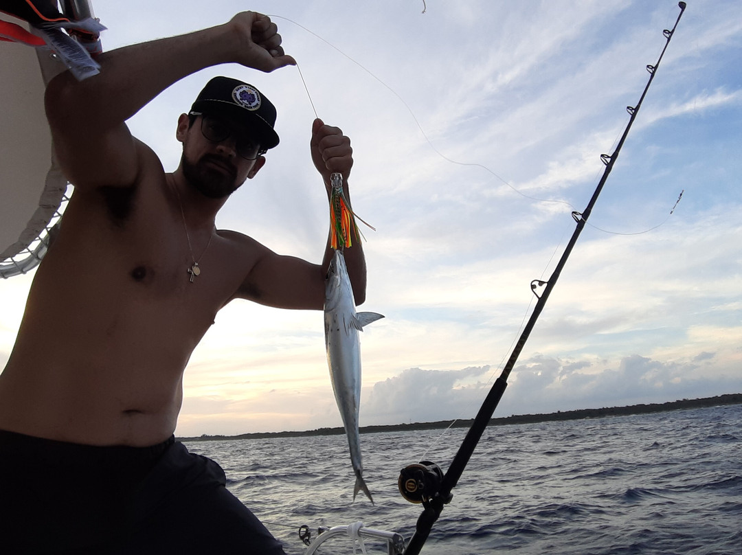 Beyond the experience-阿范特拉斯港必去景点