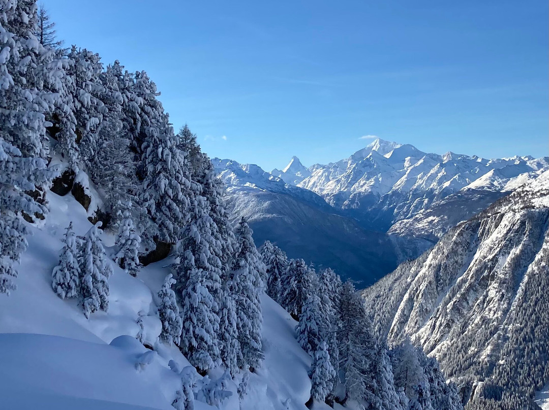 Moerel-Filet酒店住宿-Golfhotel Riederhof