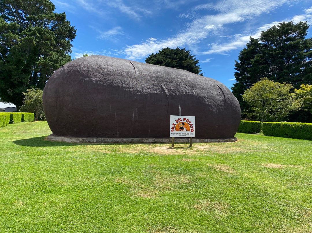 The Big Potato-Robertson必去景点