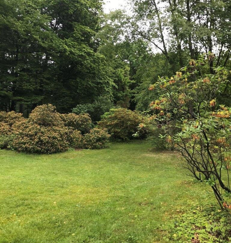 Schlosspark