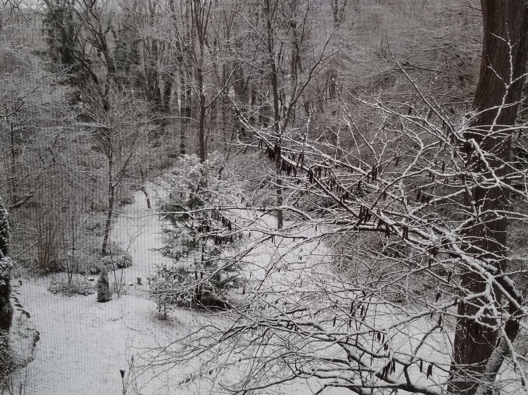 Pinecrest Bed & Breakfast主图