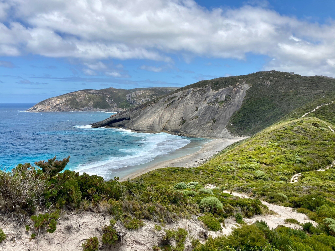 Bald Head Walk Trail-奥尔巴尼必去景点