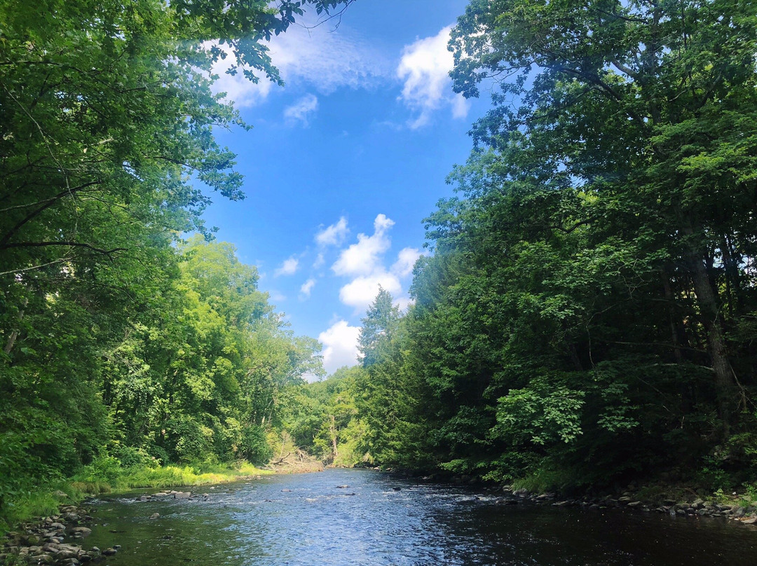 Jinyin Temple-East Stroudsburg必去景点