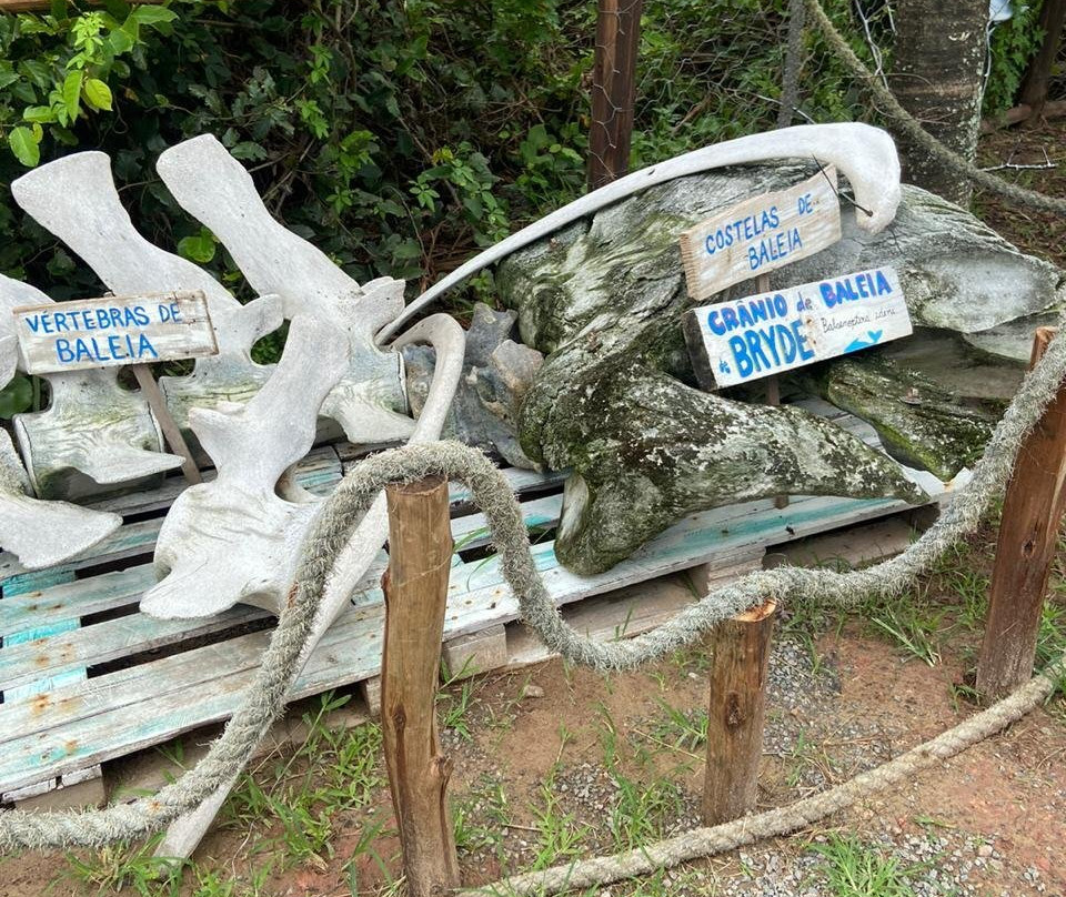 Aquario de Peruibe景点图片