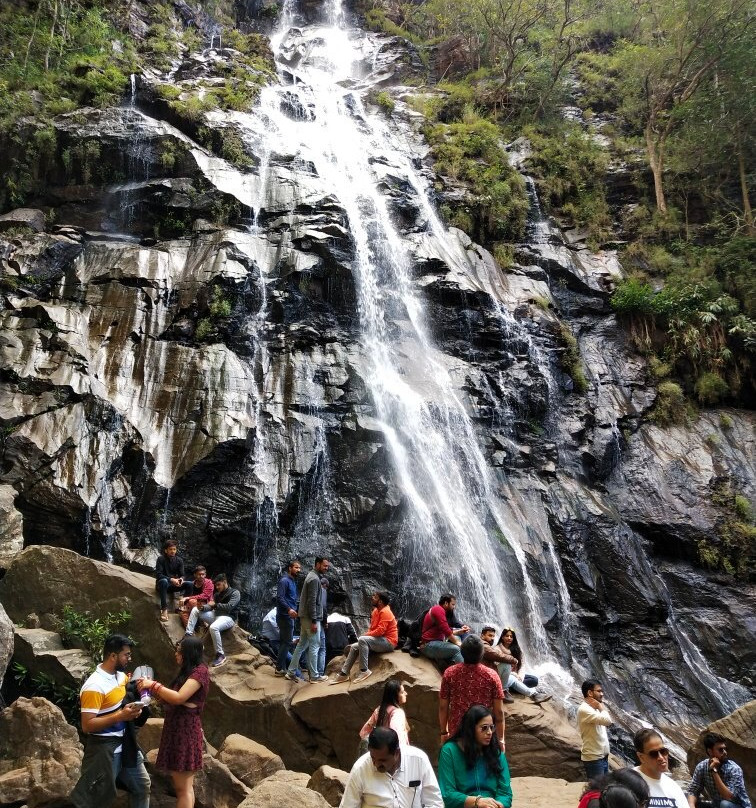 Bee Falls景点图片