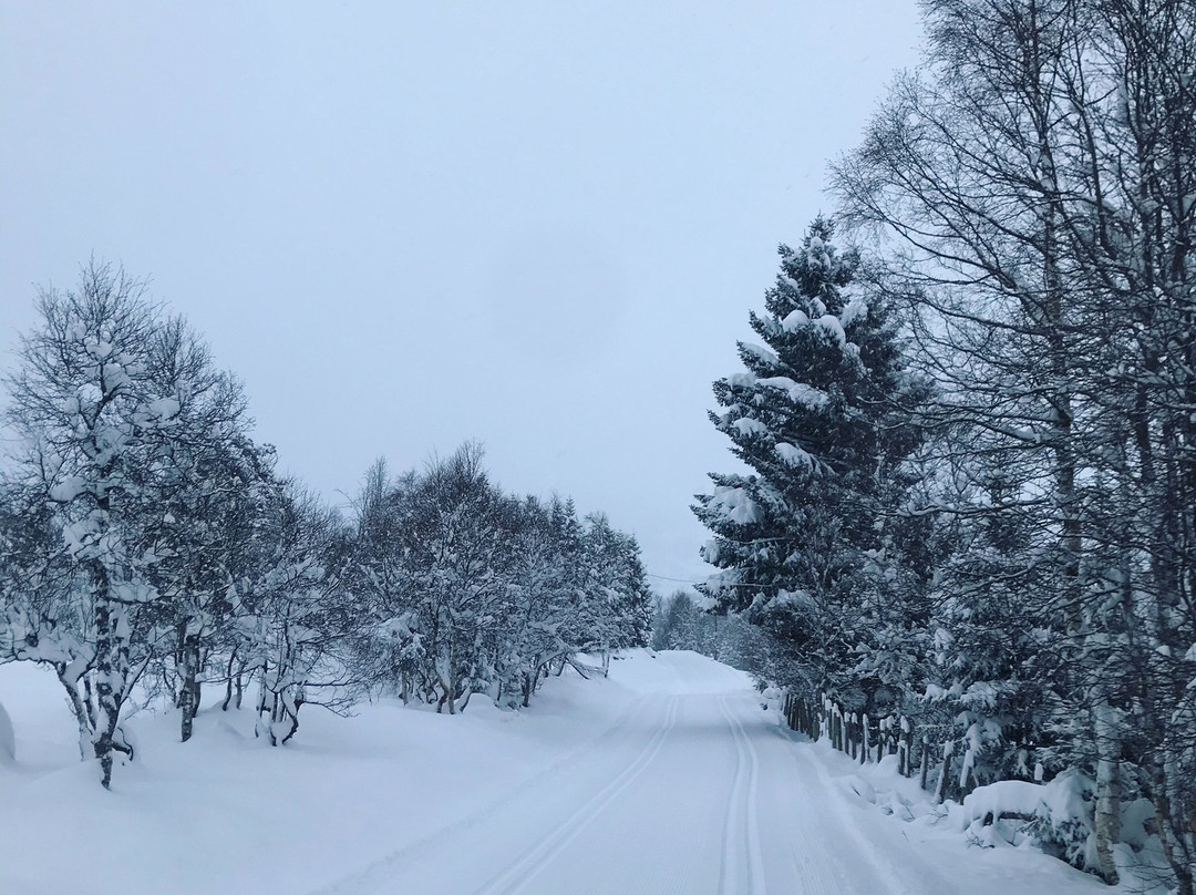 Hornindal Skisenter景点图片