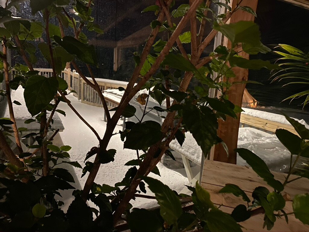 The Arnold House主图