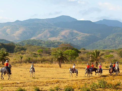 Jacamar Naturalist Tours
