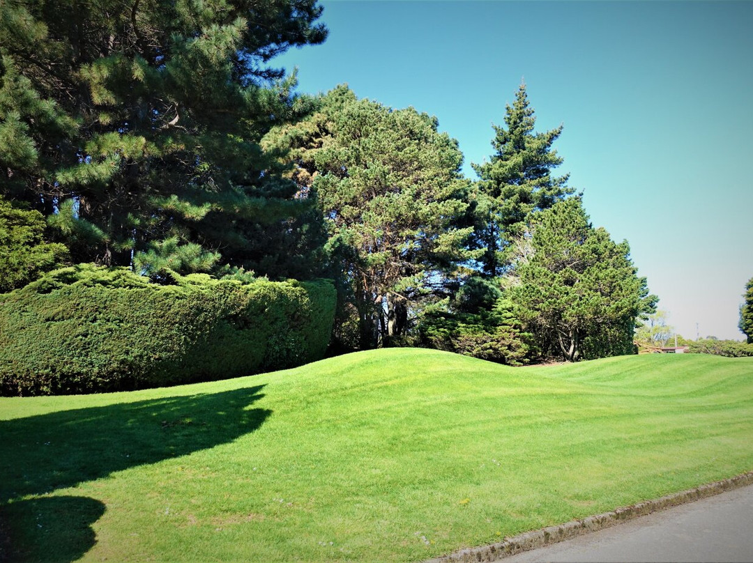 阿斯科特赛马场公园酒店主图