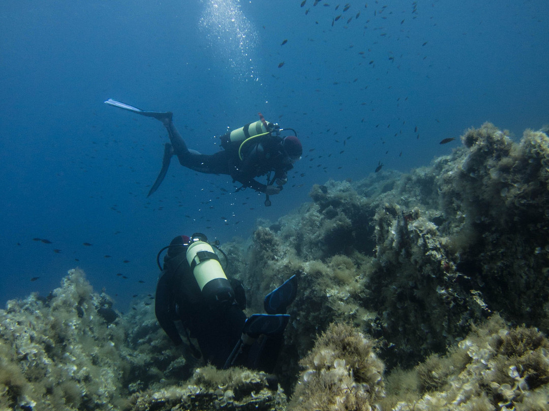 ScubAndros-Gavrion必去景点