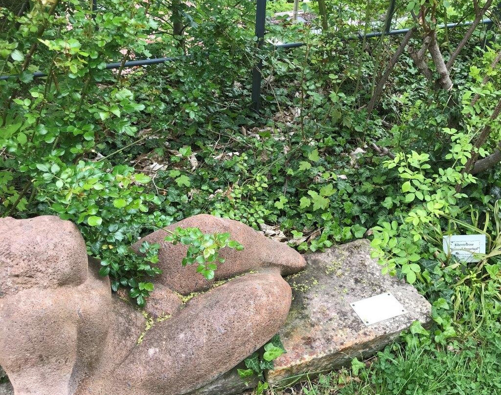 Schlossgarten景点图片