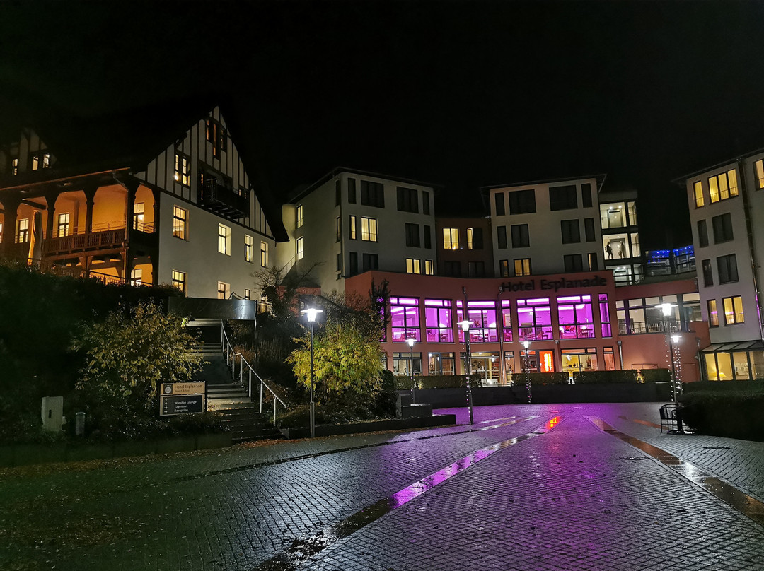 滨海度假村和温泉酒店主图